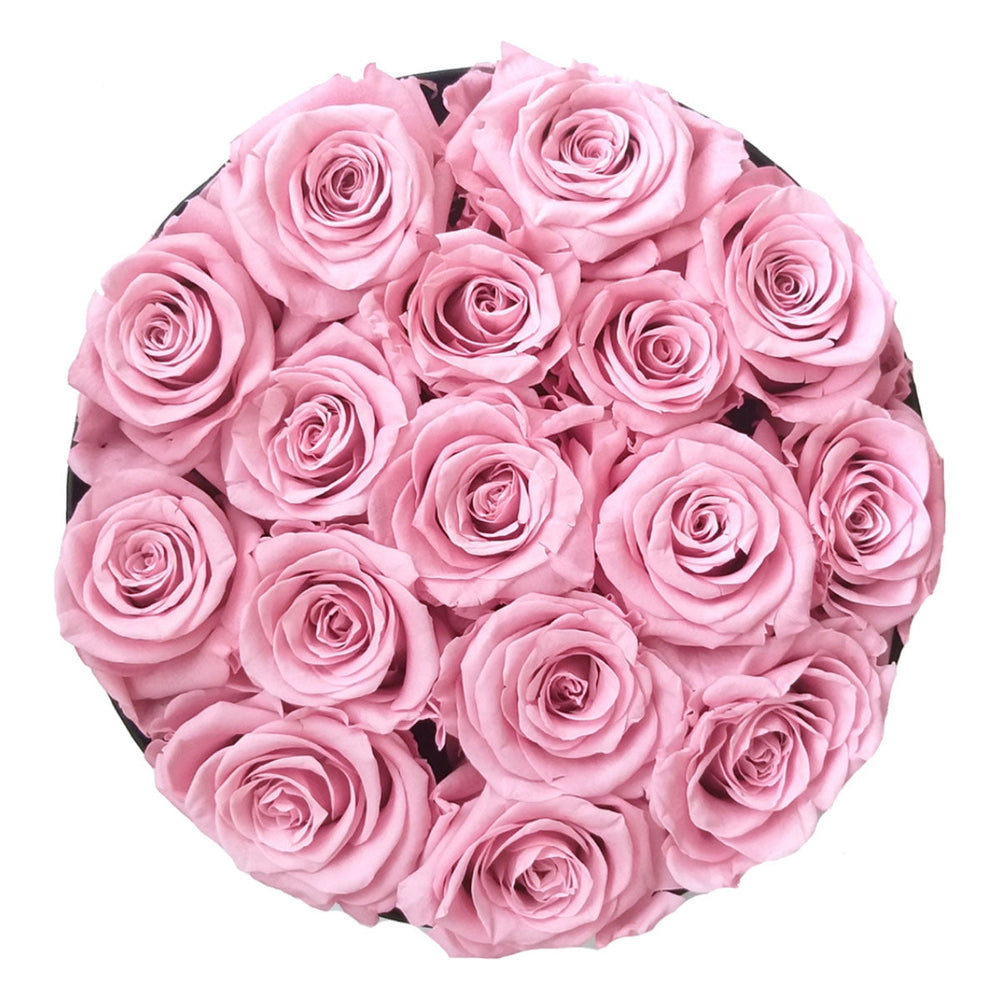 Passion Ecuador Pearl Pink 16 | Rose Forever 