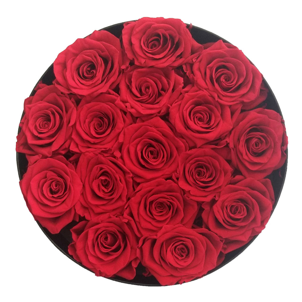 Passion Ecuador Red 16 | Rose Forever 