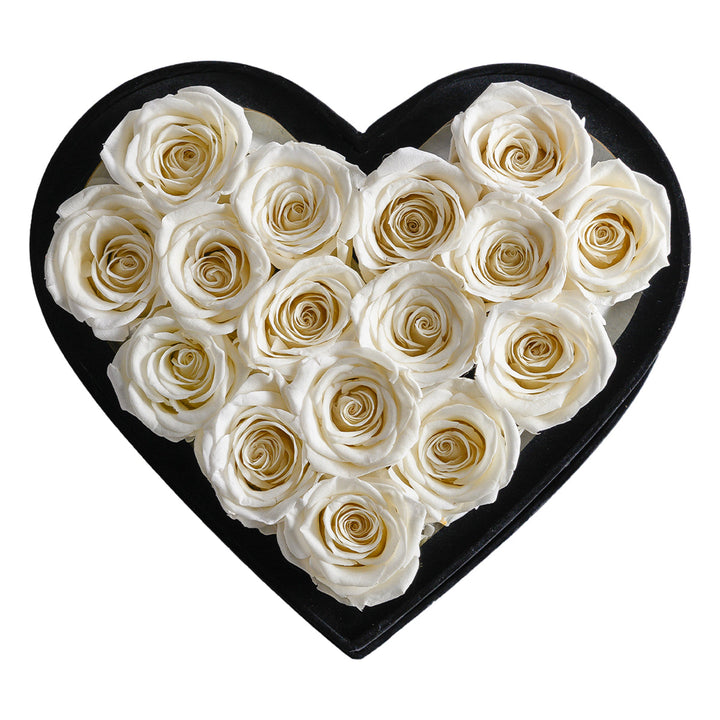 Passion Love Black Velvet Ivory 16 | Rose Forever 
