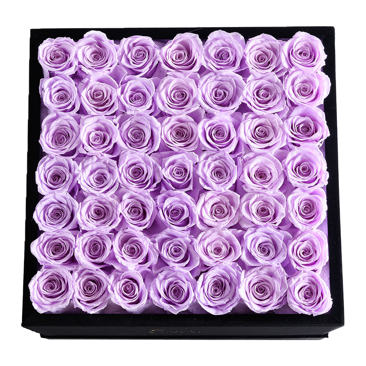 Queen Black Velvet Lilac 49 | Rose Forever 