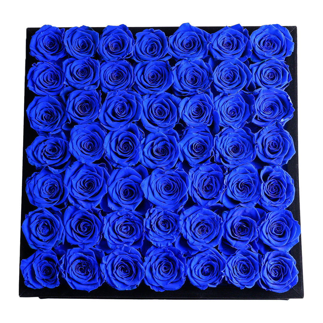 Queen Black Velvet Royal Blue 49 | Rose Forever 