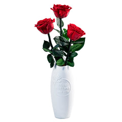 Long Fleur Rouge - Long-stemmed Red Roses in a White Vase
